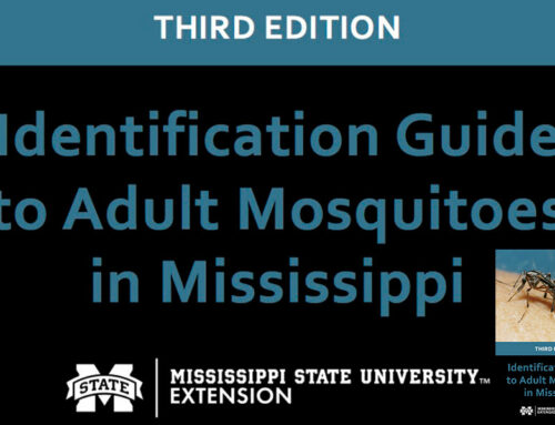 Mississippi State Extension Releases New Identification Guide to Adult Mosquitoes in Mississippi