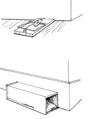 How to set and place a mouse trap – NIPCAM