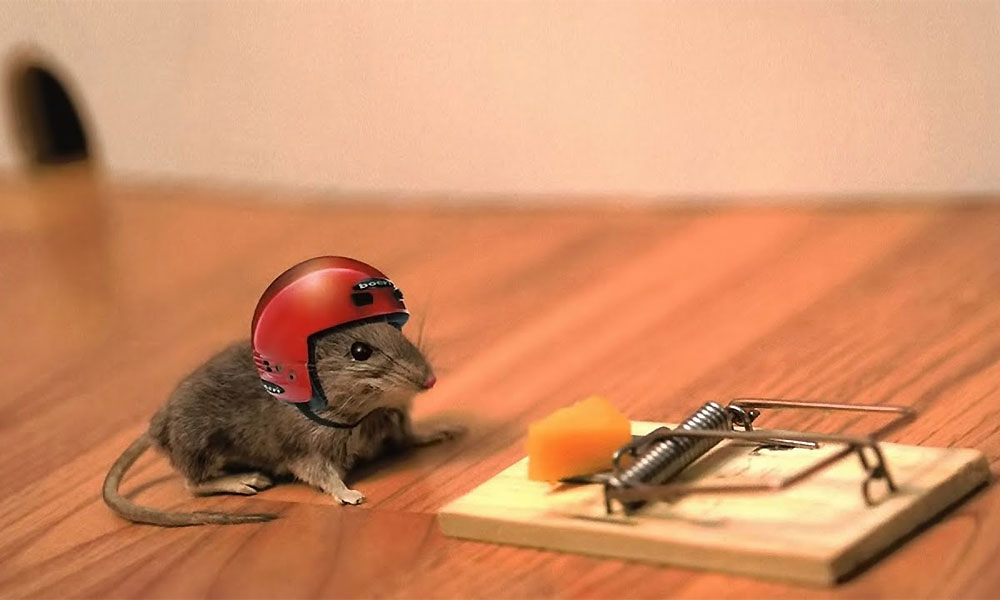 https://www.nipcam.com/wp-content/uploads/2019/10/mouse_helmet_scaled.jpg